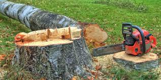 Best Firewood Processing and Delivery  in Coudersport, PA