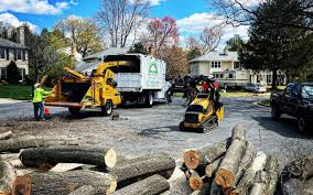 Best Arborist Consultation Services  in Coudersport, PA